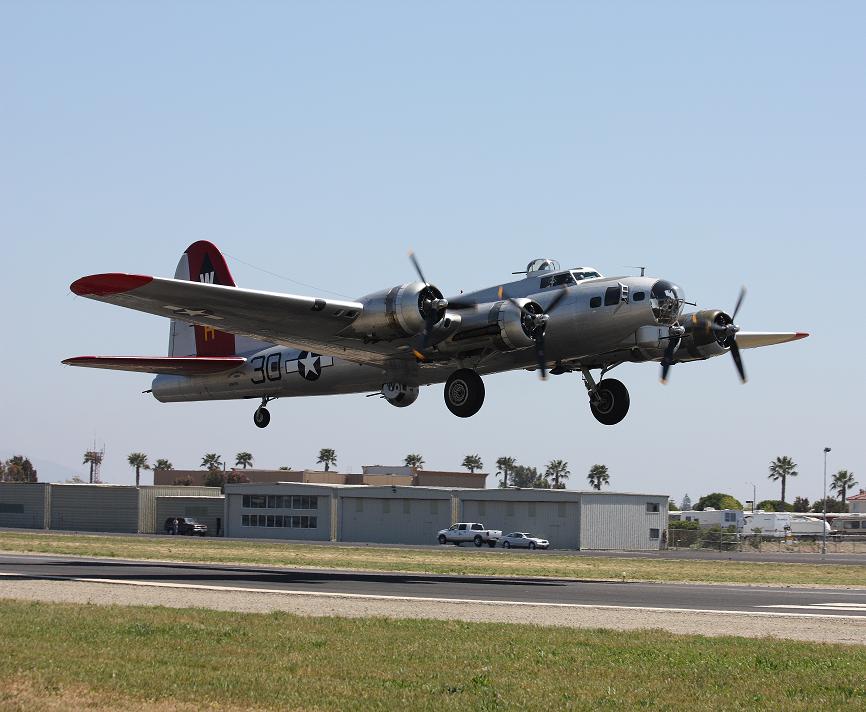 Noise Complaint Phone Line