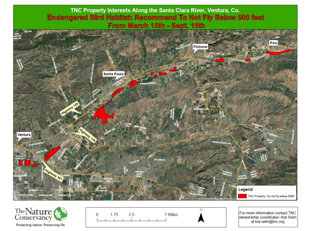 Bird Nesting Season is Here